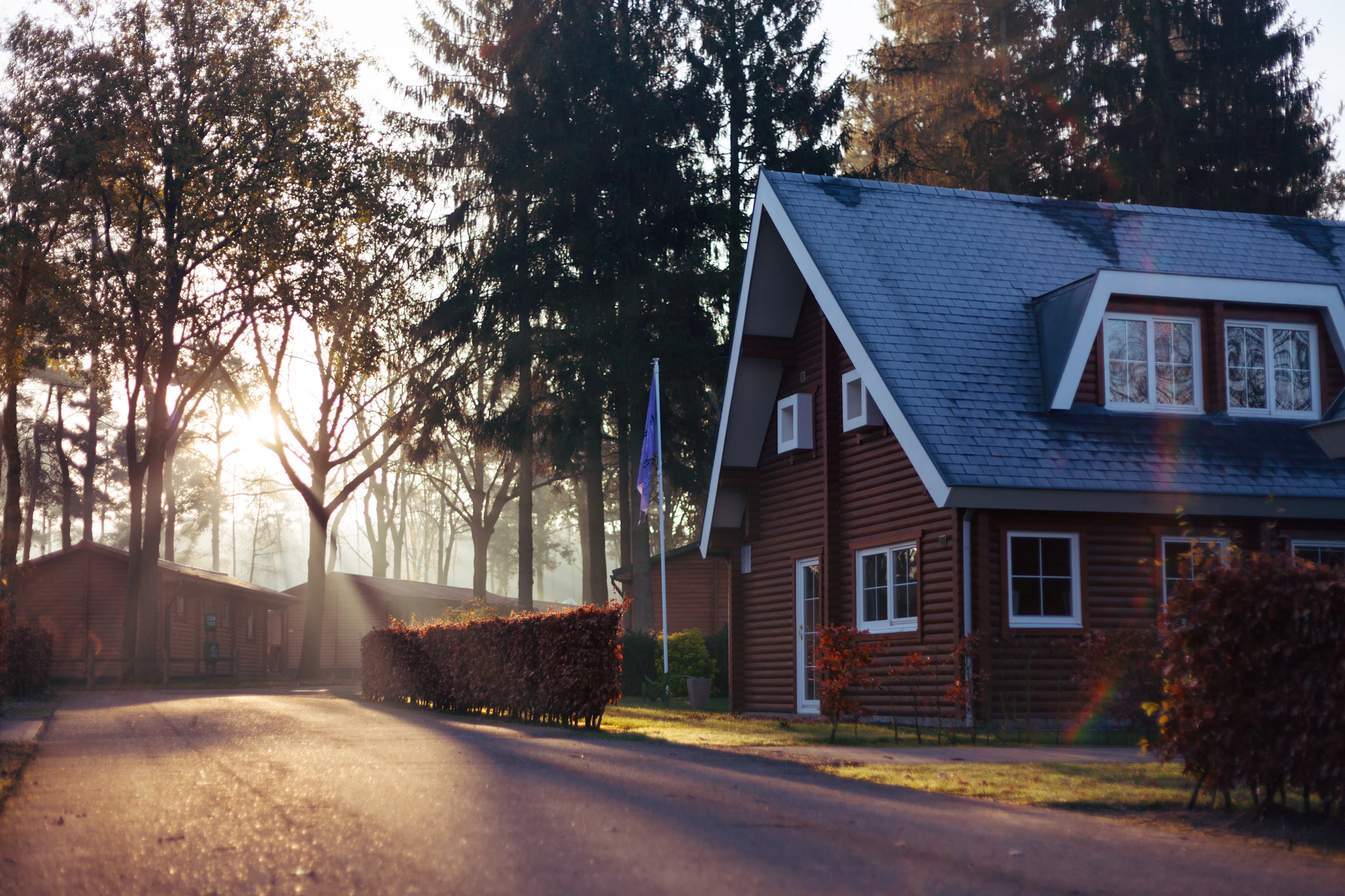 A modern short-term rental cabin lit from within at forest dusk, signalling the diagnostic clarity of the Discover phase