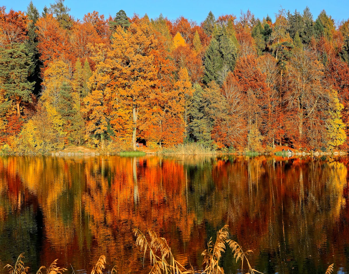 An autumn cabin nestled in fall foliage at golden hour, the perishable-inventory season where weak ADR alone leaves money on the table