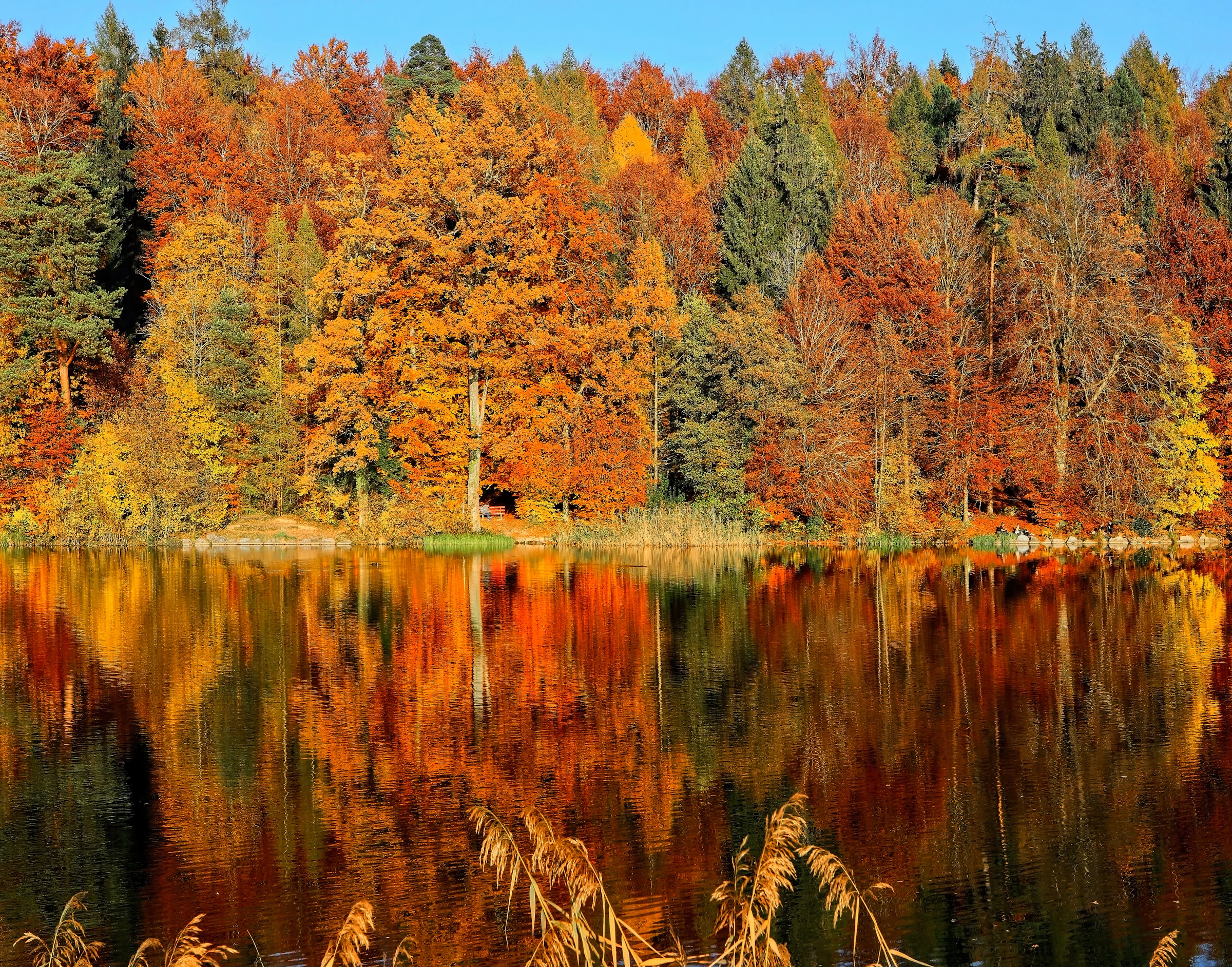 An autumn cabin nestled in fall foliage at golden hour — the perishable-inventory season where weak ADR alone leaves money on the table