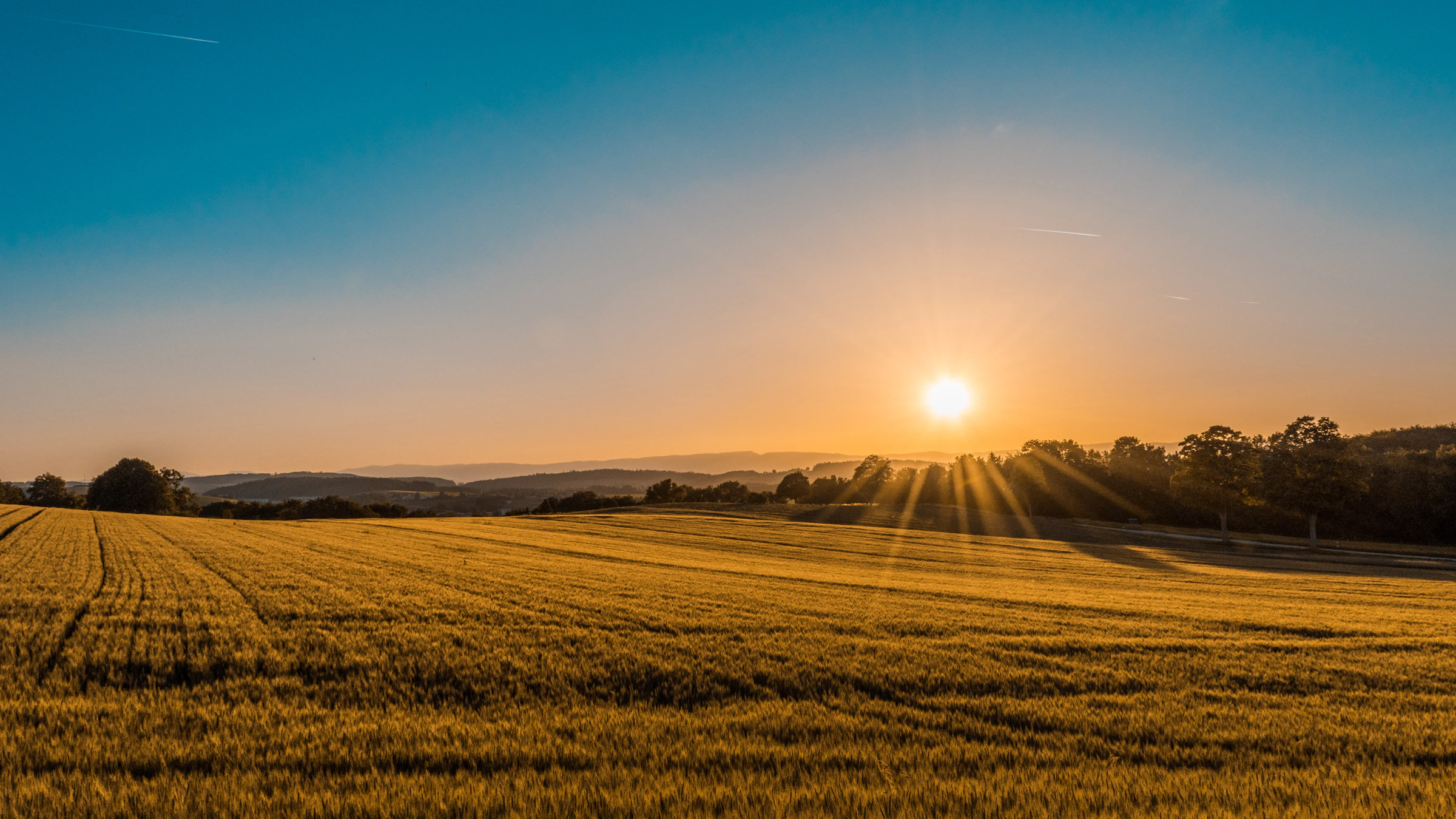 A short-term rental cabin in a spring meadow at golden hour — the Three Models of STR revenue management each fit a different property and operator profile
